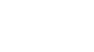 IT Logistic Partner