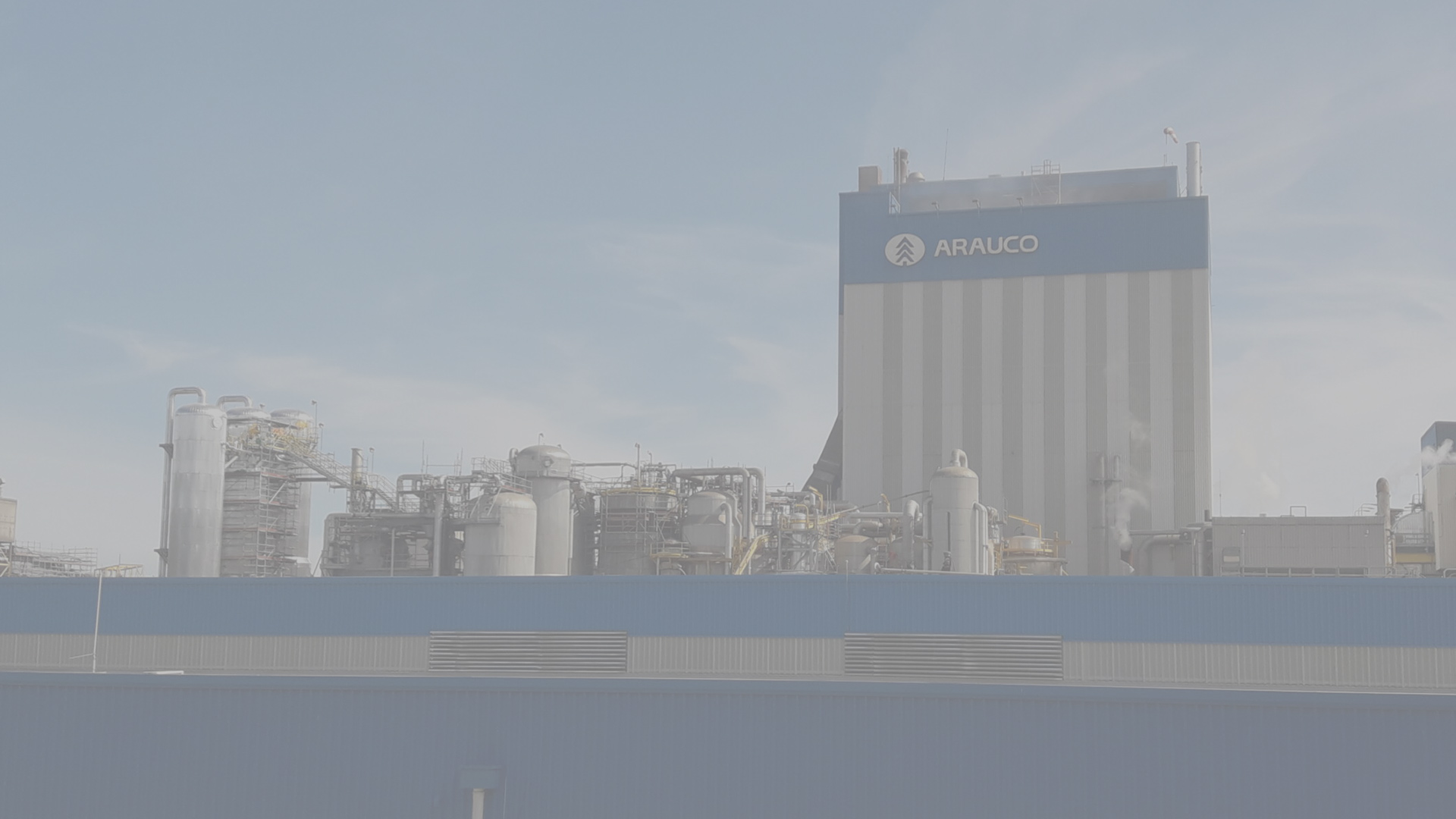 Proyecto Celulosa Arauco